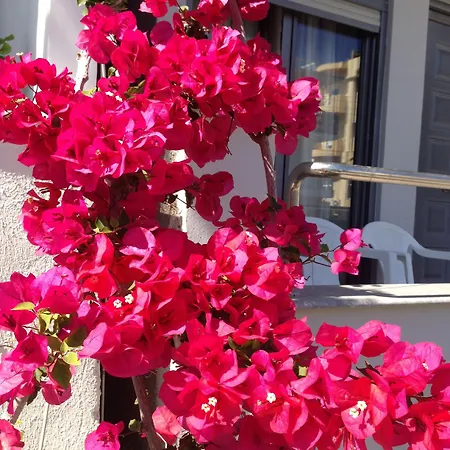 Zefyros فندق Rhodes City