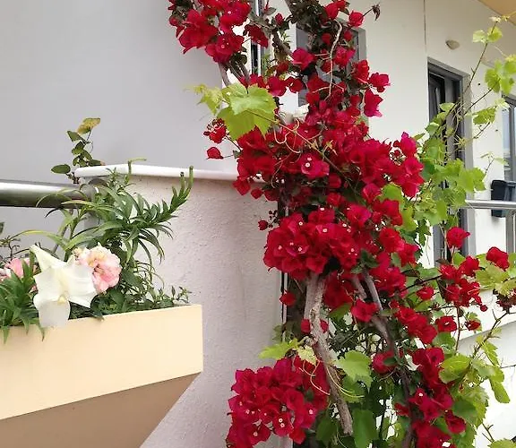 Hotel Zefyros Rhodes City