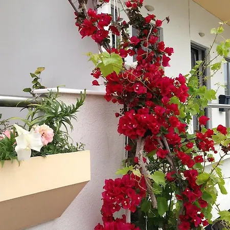 Otel Zefyros Rhodes City