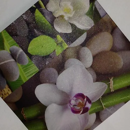 酒店 泽费罗斯酒店