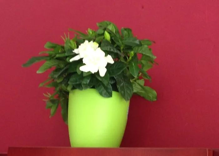 ζέφυρος Rhodes City