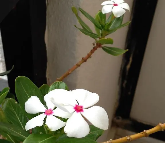 ζέφυρος Ξενοδοχείο *